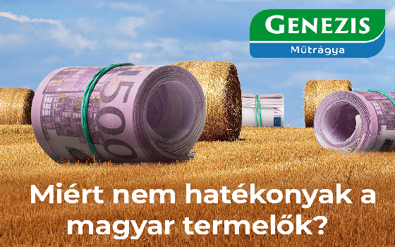 Miért nem hatékonyak a magyar termelők?